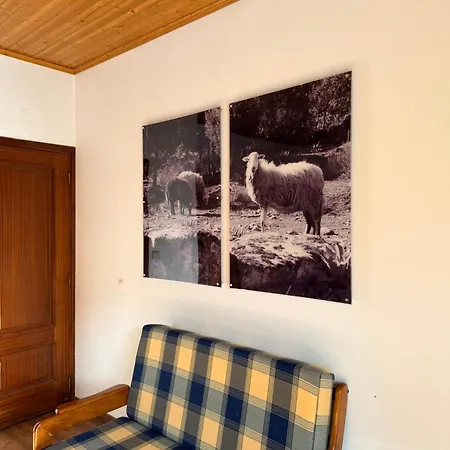 Agroturismo Casa De São Luís - Torre De Moncorvo