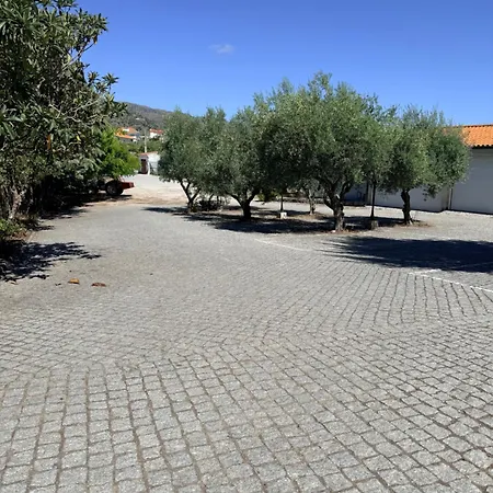 Casa De Sao Luis - Farm stay Torre De Moncorvo